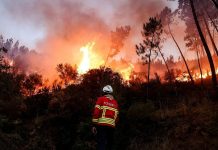 Ola de incendiös que azota a Portugal desde hace semanas, deja una tercera víctimä mortäl este martes