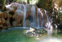 ¿Listo para el reto? Conquista los senderos que te llevan al paraíso de la Cascada El Altar en Lara (+ Fotos)