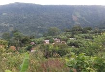 Médicos venezolanos brindan atención médica a los habitantes de la parroquia Quiriquire en el estado Monagas