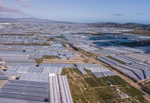 ¡IMPRESIONANTE! «Mar de Plástico» de 32 mil hectáreas convirtió a España en la región más árida de Europa