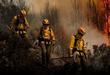 Más de 350 bomberos atienden incendiö de grandes proporciones desatado en la reserva forestal de Sama en Bolivia