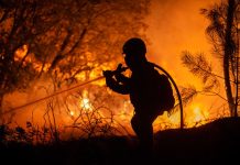 España en alerta continua: los incĕndiøs forestales avanzan sin descanso este verano