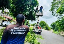 Alcaldía de Maturín realiza operativo de despeje de línea en la Av. Cruz Peraza favoreciendo a los conductores y transeúntes (+ Fotos)