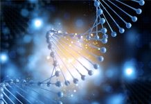Estudian el ADN y descubren que algunos humanos han evolucionado para vivir solo durmiendo 4 horas (+ Detalles)