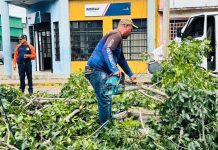 Maturín atiende afectâciones al alumbrado público producto de los fuertes vientos por la Onda Tropical Nº 30 (+ Fotos)