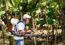 Gobierno nacional continúa fortaleciendo la salud y realiza jornada de prevenci0n contră el denguĕ en el interior del país