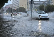 El cambio climático global ämenâza a España con especies en pelïgrø y lluvias intensas