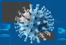 Científicos avanzan hacia antivirales universales: Una estrategia innovadora busca bloquear múltiples virus (+ Detalles)