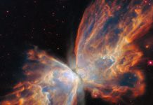 El Telescopio Webb revela el secreto del resplandor en la Nebulosa Mariposa (+ Detalles)