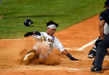 Tigres de Aragua revela su nuevo equipo técnico para la temporada 2025 de la LVBP