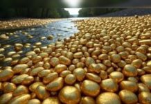 “El hallazgo del siglo”: río asturiano revela oro aluvial y reaviva una tradición cultural