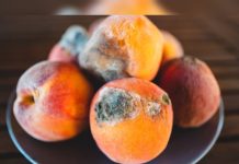 Frutas con møhø: por qué dĕsecharlăs por completo es la opción más segura