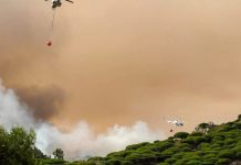 Desâlojo masivo de turistas en Tarifa, Cádiz: un incêndio forestal obliga a evacüar hoteles y campings (+ Detalles)