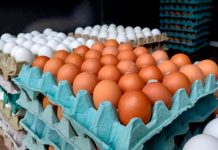 ¡La verdad revelada: los huevos no son el enemigo del cølesterøl!