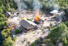 Fuerzas Armadas desmantelan campamento Tancol en Amazonas y decomisan 42 kg de sustancias ïlícïtăs