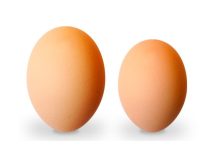 Huevos grandes vs huevos pequeños: ¿Cuál elegir para maximizar tu salud y energía diaria?