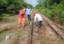 IFE refuerza seguridad y mantenimiento en el tramo Centro Occidental Simón Bolívar para optimizar servicio ferroviario (+ Fotos)