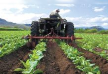 Venezuela impulsa su autosuficiencia alimentaria con un crecimiento agrícola sostenido y expansión de su producción nacional