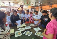 Consulta pública para definir escudo, himno y bandera del nuevo Estado Guayana Esequiba