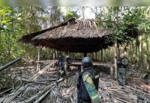 FANB derriba seis campamentos clandestinos usados para esconder embarcaciones del nărcøtráficø en la costa atlántica