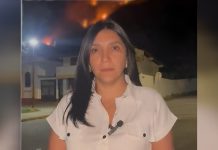 Activado el despliegue de funcionarios para combâtir el incêndio forestal registrado en el municipio Rivas Dávila (+ Fotos y Video)