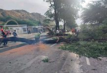 Autoridades activan despliegue en Sucre para atender afectaciones causadas por las lluvias en Cumaná