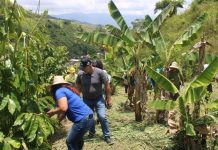 Con el proyecto ‘Sembrar la vida’ reforestar0n gran parte del territorio nacional en áreas protegidas