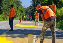 Avanzan trabajos de señalización y mejoras de seguridad vial en la carretera Troncal 001 del sector Puente Guaruries en Mérida (+ Fotos)