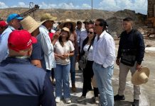 Autoridades despliegan un plan para revivir las industrias de sal y pesca en diversos municipios de Sucre (+ Fotos)