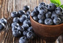 La ciencia lo confirma: descubre cómo los arándanos son una defensa natural contra el deterioro cerebral y la hipertënsión