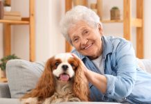 Beneficios de tener una mascota en la vëjez: compañía, salud y bienestar (+ Detalles)