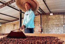 Más que chocolate: turoperadores chinos exploran el agroturismo y el cacao como una experiencia única en Barlovento