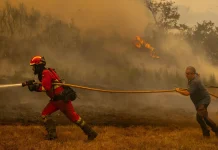 Detenïdas 4 personas presuntas autoras de los últimos incêndios en España causando daños materiales, evacuâciones y víctïmas mortâles (+ Detalles)