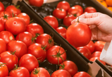 México busca proteger la producción nacional y fijó precios mínimos de exportación para el tomate fresco (+Detalles)