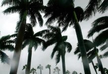 La tormenta tropical Erin podría convertirse este jueves 14 de agosto en huracán, el primero de la temporada