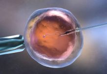 El bebé más viejo del mundo: Nació un niño de un embrión congelado durante 30 años (+ Detalles)