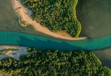Laguna de Boca de Caño: El refugio de la fauna silvestre y la reserva de pesca en Paraguaná (+ Fotos)