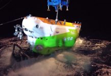 Científicos confirman vida marina a casi 10 kilómetros de profundidad en fosas oceánicas remotas