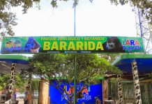Parque Zoológico y Botánico Bararida, una destino en Lara para conectar con los animales y la naturaleza (+ Fotos)