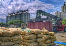 Región centro-occidental del país envió más de 19 mil kilogramos de café verde hacia Alemania (+ Detalles)