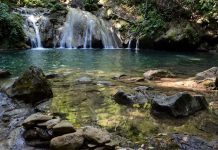 Parque Nacional Terepaima, uno de los destinos naturales más importantes en Lara (+ Fotos)