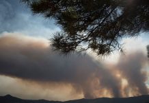 España enfrenta una crítica jornada de incëndios forestales con miles de desalojos (+ Detalles)