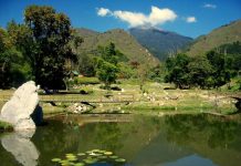 Bosques, orquídeas, palmeras y mucho más por conocer en el Jardín Botánico de Mérida (+ Detalles)