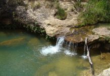 Parque Nacional Aguaro-Guariquito: Un paraíso de fauna y aventura en los llanos venezolanos (+ Fotos)