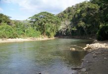 Río Bocatoma de San Carlos: Un destino imperdible para el ecoturismo en Cojedes (+ Fotos)