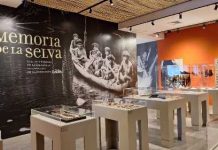 «Memoria de la Selva»: Un Viaje al Corazón del Amazonas Venezolano Llega a Margarita (+ Detalles)