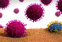 Científicos de Columbia descubren mutación rara que podría crear antiviral universal (+ Detalles)