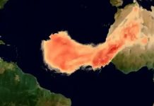 Copernicus lanza la aplicación Thermal Trace para cømbatir el ëstrés térmico global
