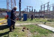 Corpoelec despliega Plan Nacional de Control de Vegetación para optimizar el servicio eléctrico