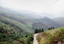 Balnearios, bosques y aventura: Descubre el atractivo natural del Parque Nacional General Manuel Manrique (+ Fotos)